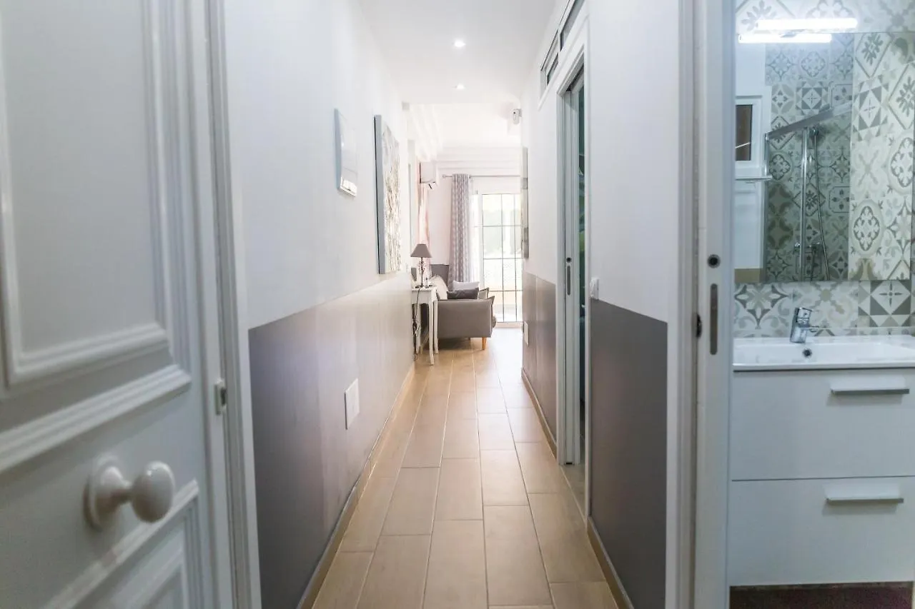Apartment Orlando Tenerife Sur Mikey Costa Adeje   Costa Adeje (Tenerife)