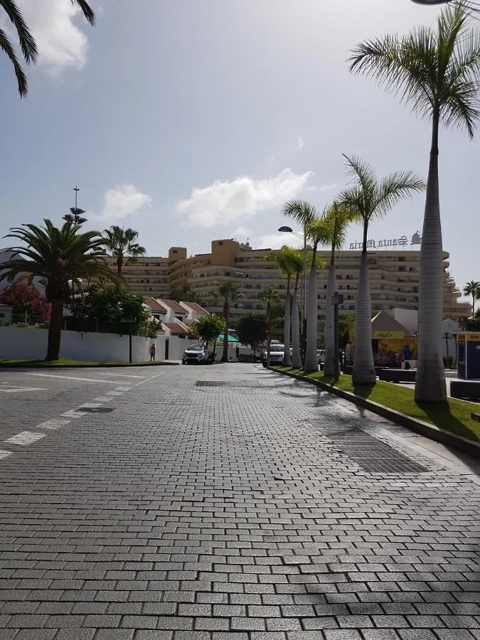Apartment Orlando Tenerife Sur Mikey Costa Adeje   Costa Adeje (Tenerife)